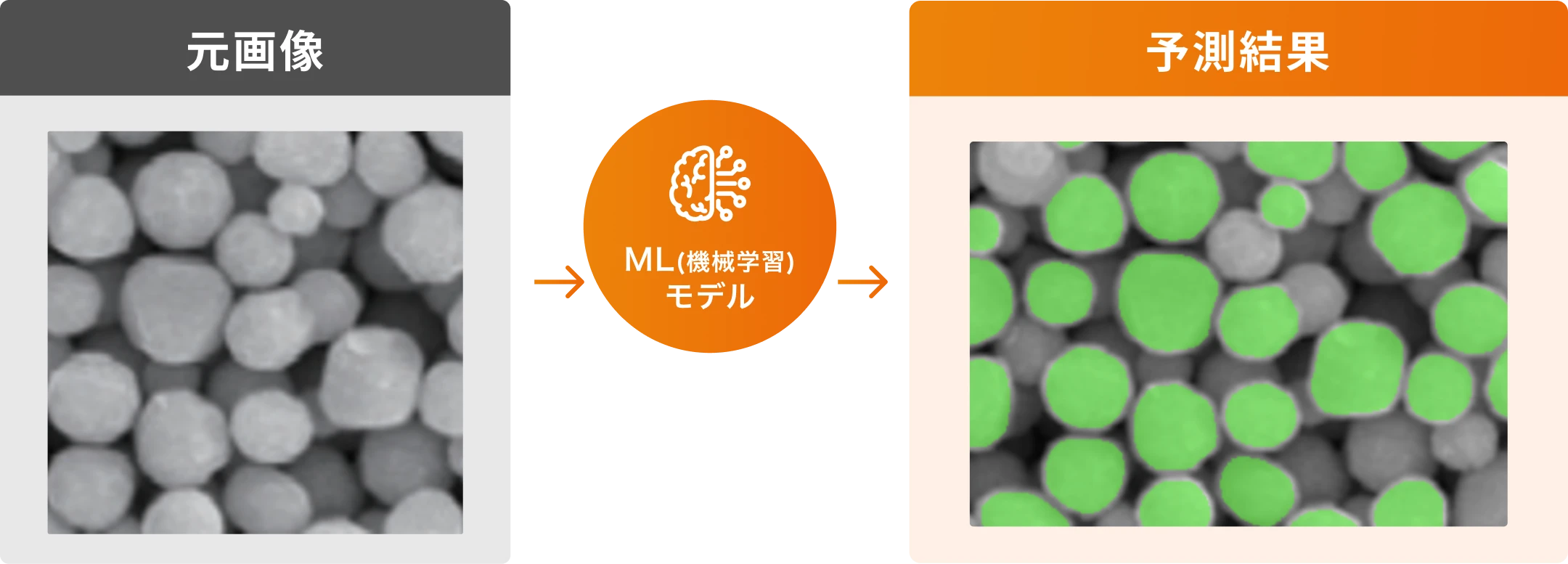 図：球体画像の元画像と、機械学習モデルによって対象の粉体をマークした予測結果画像を比較した